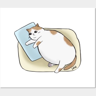 Sad Chonk Posters and Art